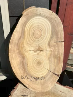 Eucalyptus